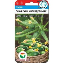 Огурец Сибирский многодетный F1 Сибирский сад (65399): купить семена почтой в России | интернет-магазин Беккер