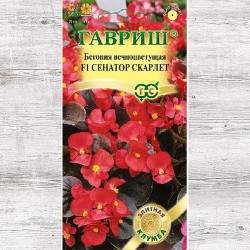 Бегония Сенатор Скарлет F1 Гавриш (71134): купить семена почтой в России | интернет-магазин Беккер