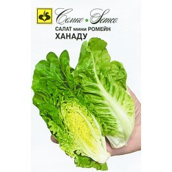 Салат мини ромейн Ханаду Семко (71937): купить семена почтой в России | интернет-магазин Беккер