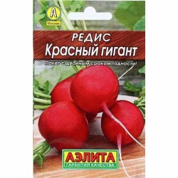 Редис Красный гигант Аэлита (40201): купить семена почтой в России | интернет-магазин Беккер
