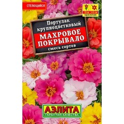 Портулак Махровое покрывало, смесь окрасок Аэлита (40400): купить семена почтой в России | интернет-магазин Беккер