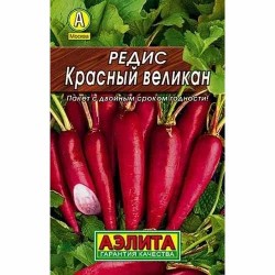 Редис Красный великан Аэлита (40200): купить семена почтой в России | интернет-магазин Беккер