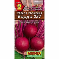 Свекла столовая Бордо 237 Аэлита (40215): купить семена почтой в России | интернет-магазин Беккер