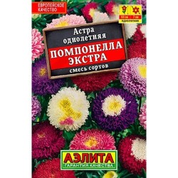 Астра Помпонелла экстра, смесь окрасок Аэлита (40286): купить семена почтой в России | интернет-магазин Беккер