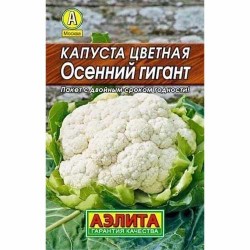 Капуста цветная Осенний гигант Аэлита (40069): купить семена почтой в России | интернет-магазин Беккер