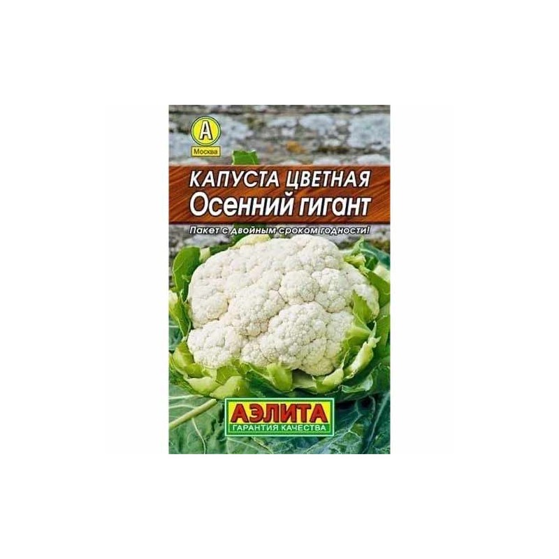 Капуста цветная Осенний гигант Аэлита (40069): купить семена почтой в России | интернет-магазин Беккер Капуста цветная Осенний гигант Аэлита (40069): купить семена почтой в России | интернет-магазин Беккер