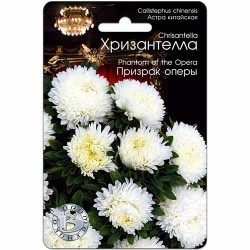 Астра Хризантелла Призрак оперы Биотехника (82678): купить семена почтой в России | интернет-магазин Беккер