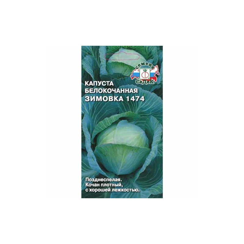Капуста белокочанная Зимовка Седек (40462): купить семена почтой в России | интернет-магазин Беккер Капуста белокочанная Зимовка Седек (40462): купить семена почтой в России | интернет-магазин Беккер