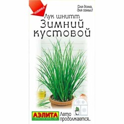 Лук шнитт Зимний кустовой Аэлита (40092): купить семена почтой в России | интернет-магазин Беккер