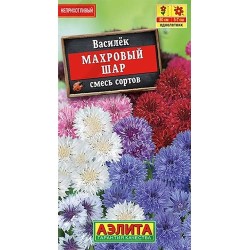 Василек Махровый шар, смесь окрасок Аэлита (40311): купить семена почтой в России | интернет-магазин Беккер