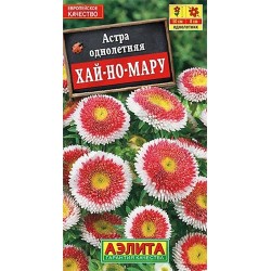 Астра помпонная Хай-но-мару Аэлита (40288): купить семена почтой в России | интернет-магазин Беккер