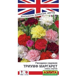 Гвоздика садовая Триумф Маргарет, смесь окрасок Аэлита (40332): купить семена почтой в России | интернет-магазин Беккер