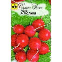 Редис Молния F1 Семко (82651): купить семена почтой в России | интернет-магазин Беккер