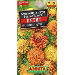 Бархатцы отклоненные Петит, смесь окрасок Аэлита (40296): купить семена почтой в России | интернет-магазин Беккер