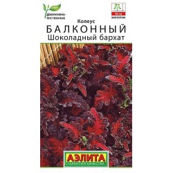 Колеус балконный Шоколадный бархат Аэлита (40348): купить семена почтой в России | интернет-магазин Беккер