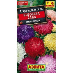 Астра Королева сада, смесь окрасок Аэлита (40281): купить семена почтой в России | интернет-магазин Беккер