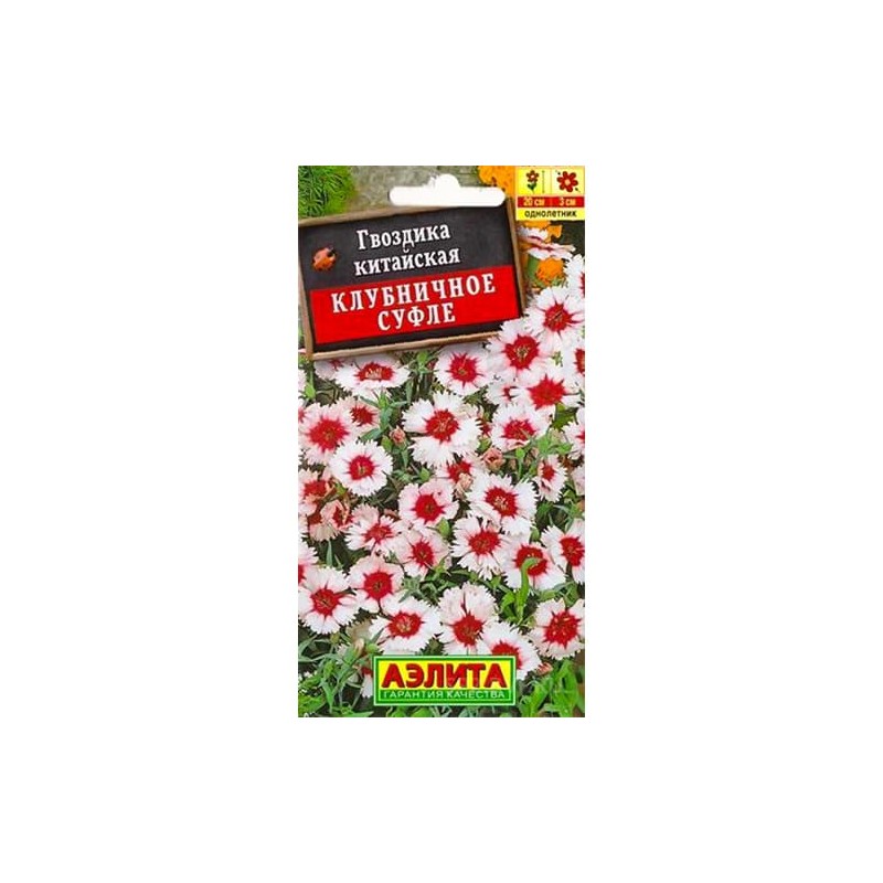 Гвоздика китайская Клубничное суфле Аэлита (98913): купить семена почтой в России | интернет-магазин Беккер Гвоздика китайская Клубничное суфле Аэлита (98913): купить семена почтой в России | интернет-магазин Беккер
