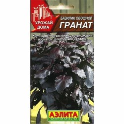 Базилик Гранат Аэлита (40011): купить семена почтой в России | интернет-магазин Беккер