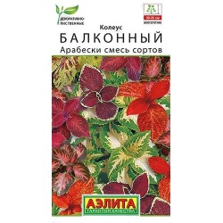 Колеус балконный Арабески, смесь окрасок Аэлита (40346): купить семена почтой в России | интернет-магазин Беккер