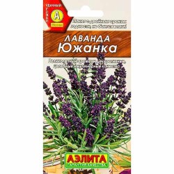 Лаванда Южанка Аэлита (40081): купить семена почтой в России | интернет-магазин Беккер