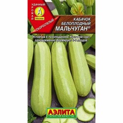 Кабачок Мальчуган Аэлита (40043): купить семена почтой в России | интернет-магазин Беккер