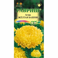 Астра пионовидная Желтая башня Гавриш (40581): купить семена почтой в России | интернет-магазин Беккер