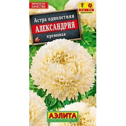 Астра Александрия кремовая Аэлита (40269): купить семена почтой в России | интернет-магазин Беккер
