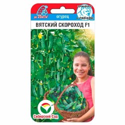 Огурец Вятский скороход Сибирский сад (40615): купить семена почтой в России | интернет-магазин Беккер