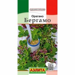 Орегано Бергамо Аэлита (40149): купить семена почтой в России | интернет-магазин Беккер