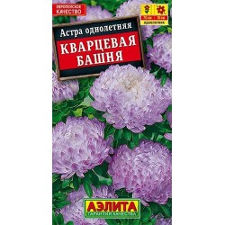 Астра Кварцевая башня Аэлита (40275): купить семена почтой в России | интернет-магазин Беккер