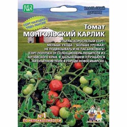 Томат Монгольский Карлик Уральский дачник (40696): купить семена почтой в России | интернет-магазин Беккер