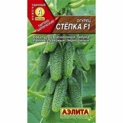 Огурец Степка F1 Аэлита (40141): купить семена почтой в России | интернет-магазин Беккер