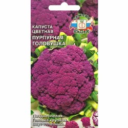 Капуста цветная Пурпурная головушка Седек (40466): купить семена почтой в России | интернет-магазин Беккер
