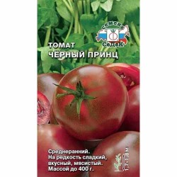 Томат Черный принц Седек (40521): купить семена почтой в России | интернет-магазин Беккер