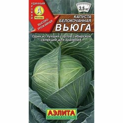 Капуста белокочанная Вьюга Аэлита (40061): купить семена почтой в России | интернет-магазин Беккер