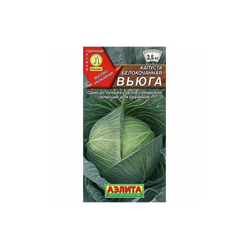 Капуста белокочанная Вьюга Аэлита (40061): купить семена почтой в России | интернет-магазин Беккер Капуста белокочанная Вьюга Аэлита (40061): купить семена почтой в России | интернет-магазин Беккер