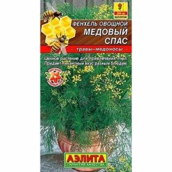 Фенхель овощной Медовый спас Аэлита (40253): купить семена почтой в России | интернет-магазин Беккер
