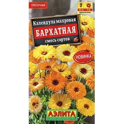 Календула махровая Бархатная, смесь окрасок Аэлита (40344): купить семена почтой в России | интернет-магазин Беккер