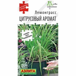 Лемонграсс Цитрусовый аромат Аэлита (40082): купить семена почтой в России | интернет-магазин Беккер