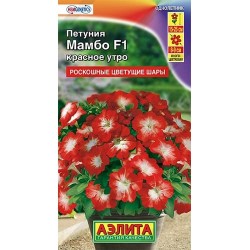 Петуния многоцветковая Мамбо красное утро F1 Аэлита (40383): купить семена почтой в России | интернет-магазин Беккер