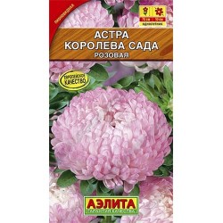 Астра Королева сада розовая Аэлита (40279): купить семена почтой в России | интернет-магазин Беккер