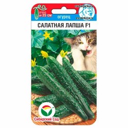 Огурец Салатная лапша Сибирский сад (40861): купить семена почтой в России | интернет-магазин Беккер