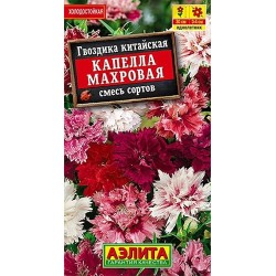 Гвоздика китайская Капелла махровая, смесь окрасок Аэлита (40327): купить семена почтой в России | интернет-магазин Беккер