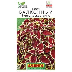 Колеус балконный Бургундское вино Аэлита (40347): купить семена почтой в России | интернет-магазин Беккер