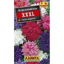 Астра ХХХL, смесь окрасок Аэлита (40289): купить семена почтой в России | интернет-магазин Беккер