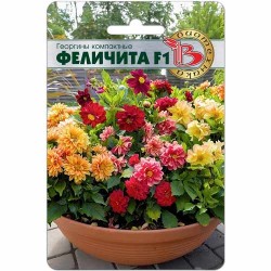 Георгины компактные Феличита F1 Биотехника (40421): купить семена почтой в России | интернет-магазин Беккер