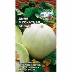 Дыня Мускатная белая Седек (40455): купить семена почтой в России | интернет-магазин Беккер