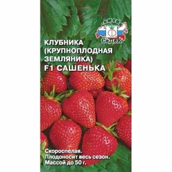 Земляника ремонтантная (крупноплодная) Сашенька F1 Седек (40457): купить семена почтой в России | интернет-магазин Беккер