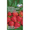 Земляника ремонтантная (крупноплодная) Сашенька F1 Седек (40457): купить семена почтой в России | интернет-магазин Беккер