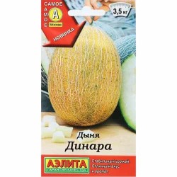 Дыня Динара Аэлита (40037): купить семена почтой в России | интернет-магазин Беккер